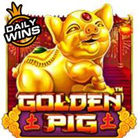 Golden Pig™